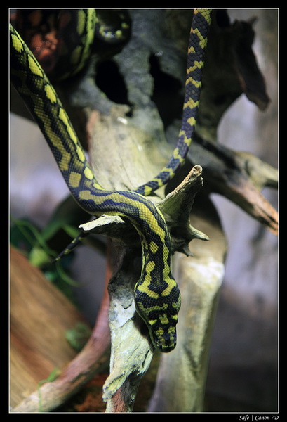 2012 - 06 - Dubai - 149